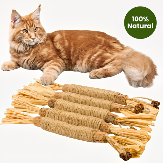 Natural Silvervine Cat Dental Sticks – Teeth Cleaning Chews | Starter, Monthly & Complete Kits