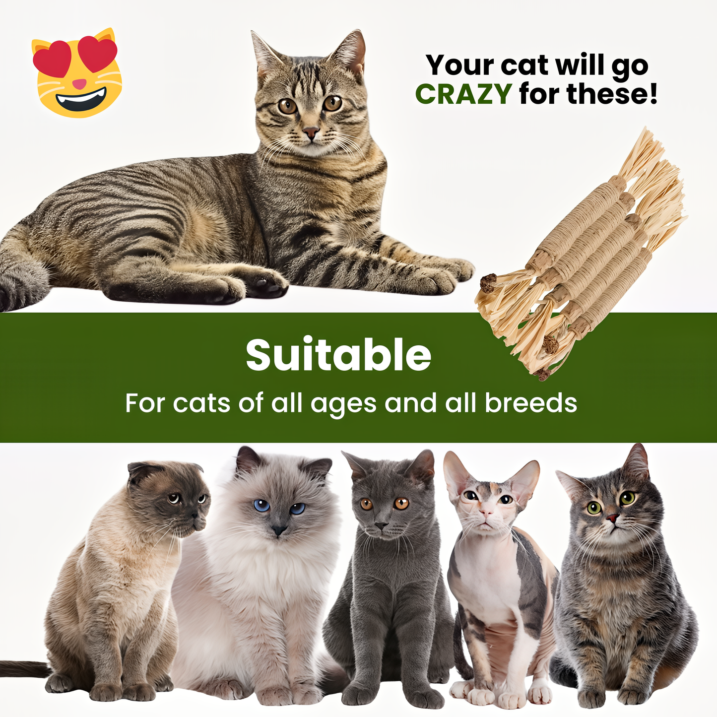 Natural Silvervine Cat Dental Sticks – Teeth Cleaning Chews | Starter, Monthly & Complete Kits