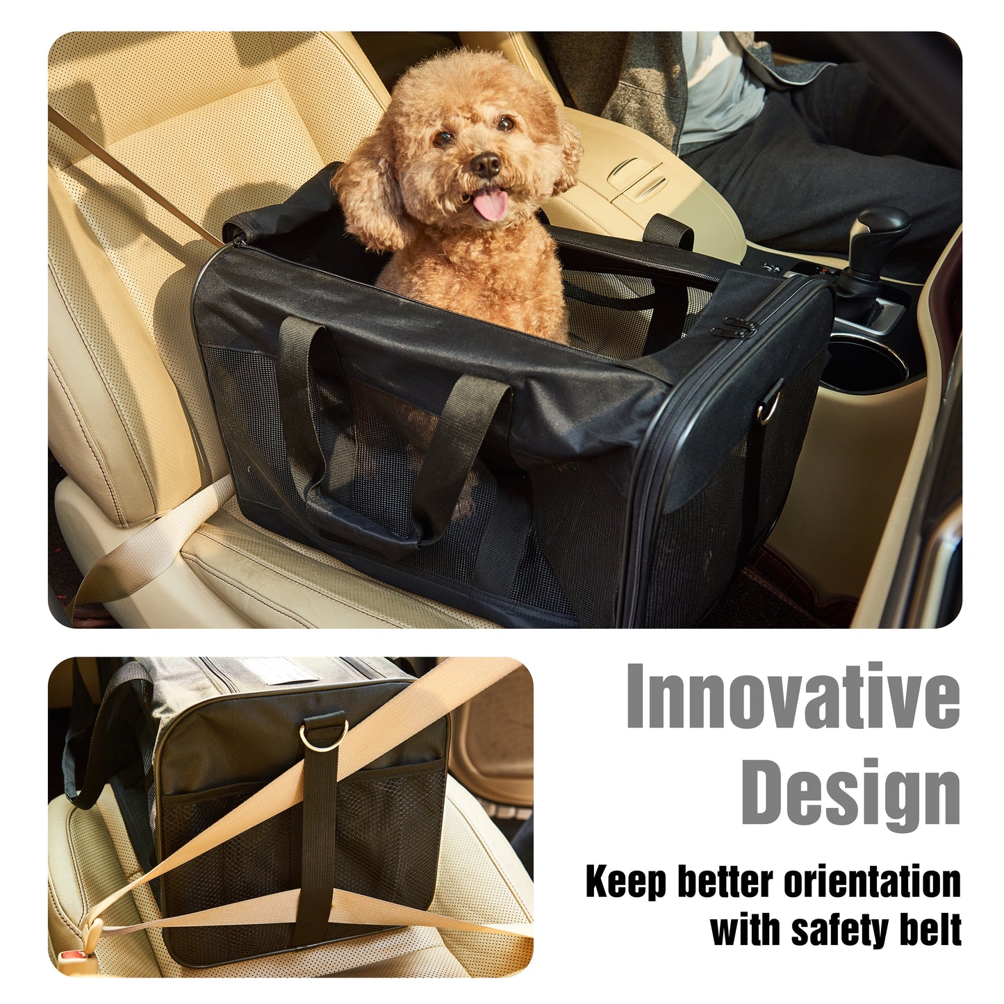 Collapsible Soft-Sided Pet Carrier – Large Dog