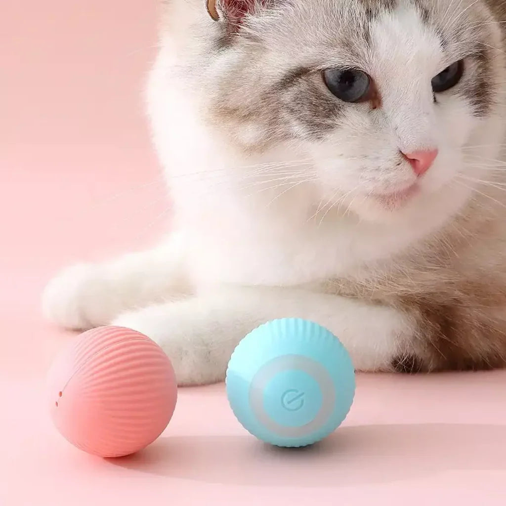 Interactive Automatic Cat Toy Ball