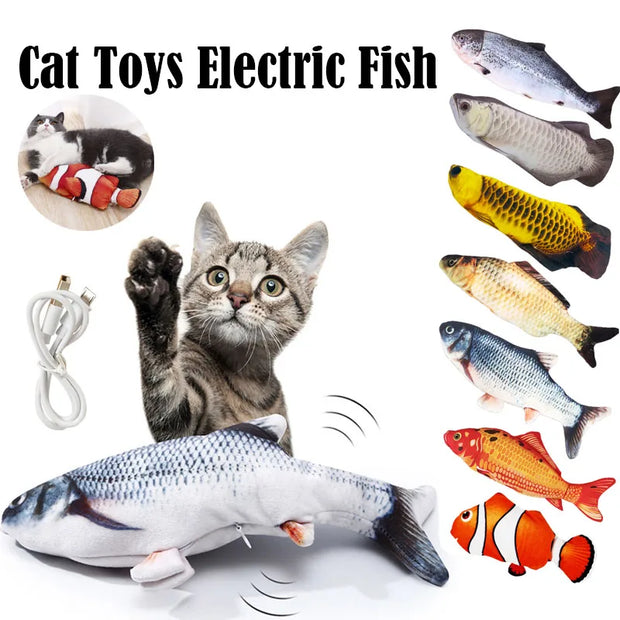 Toys & Play