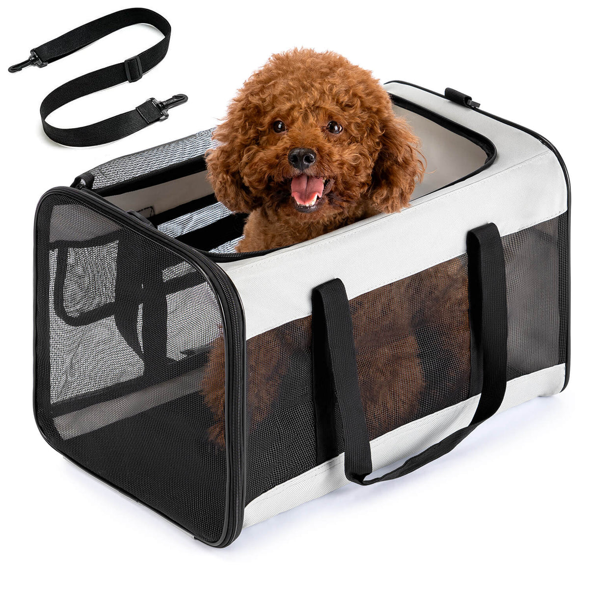 Collapsible Soft-Sided Pet Carrier – Cat & Small Dog