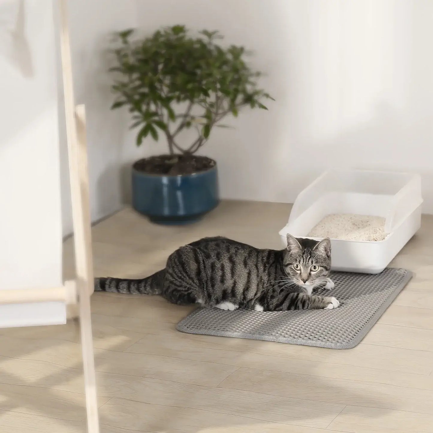 Honeycomb Double-Layer Cat Litter Trapping Mat – 23" x 17"