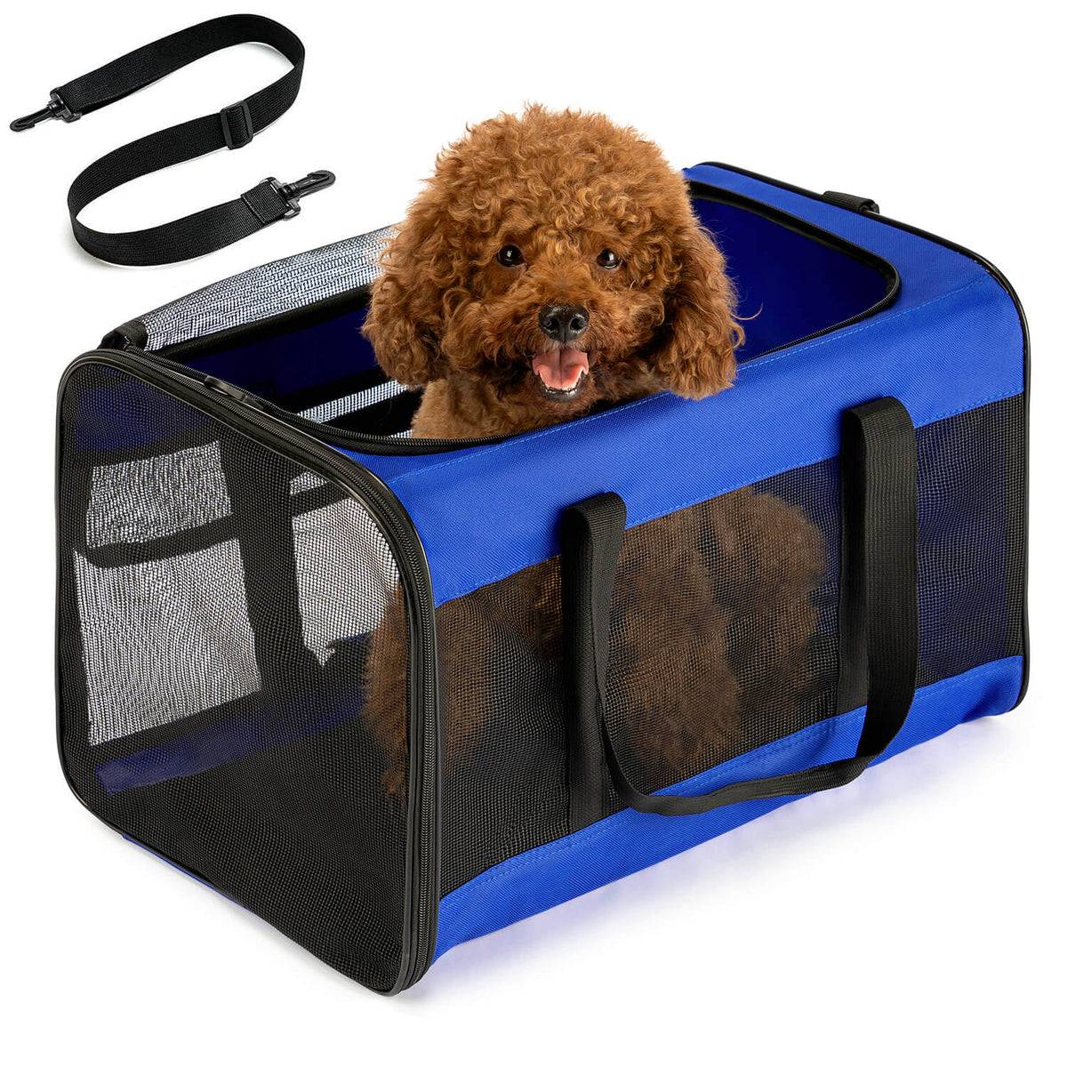 Collapsible Soft-Sided Pet Carrier – Cat & Small Dog