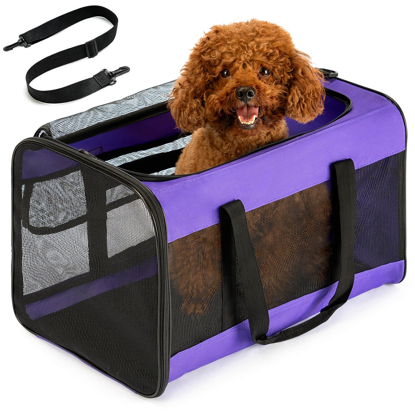 Collapsible Soft-Sided Pet Carrier – Cat & Small Dog