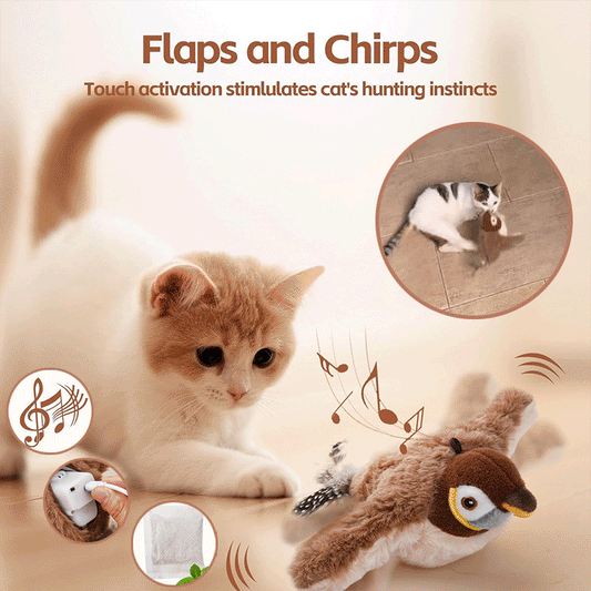 Interactive Flying Bird Cat Toy