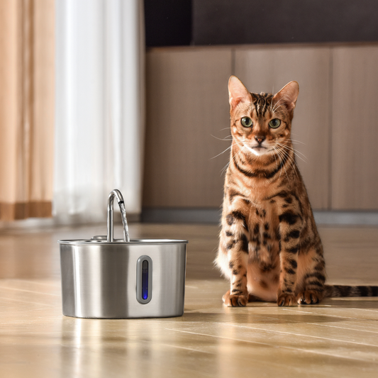 Wireless Cat Water Fountain – 2.2L Ultra-Quiet USB Pet Fountain with 4-Stage Filtration