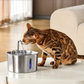 Wireless Cat Water Fountain – 2.2L Ultra-Quiet USB Pet Fountain with 4-Stage Filtration