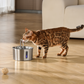 Wireless Cat Water Fountain – 2.2L Ultra-Quiet USB Pet Fountain with 4-Stage Filtration