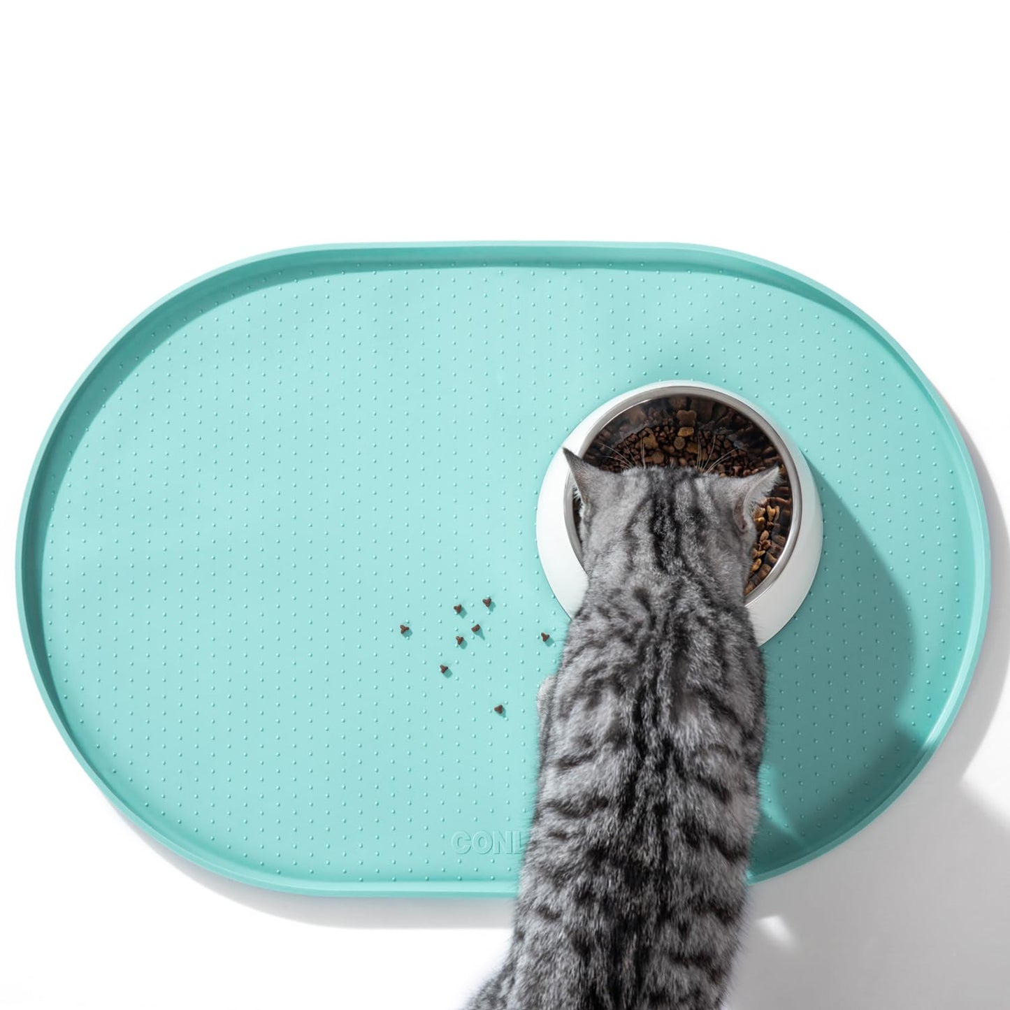 Silicone Pet Feeding Mat with ½" Raised Edge – 19" x 12"