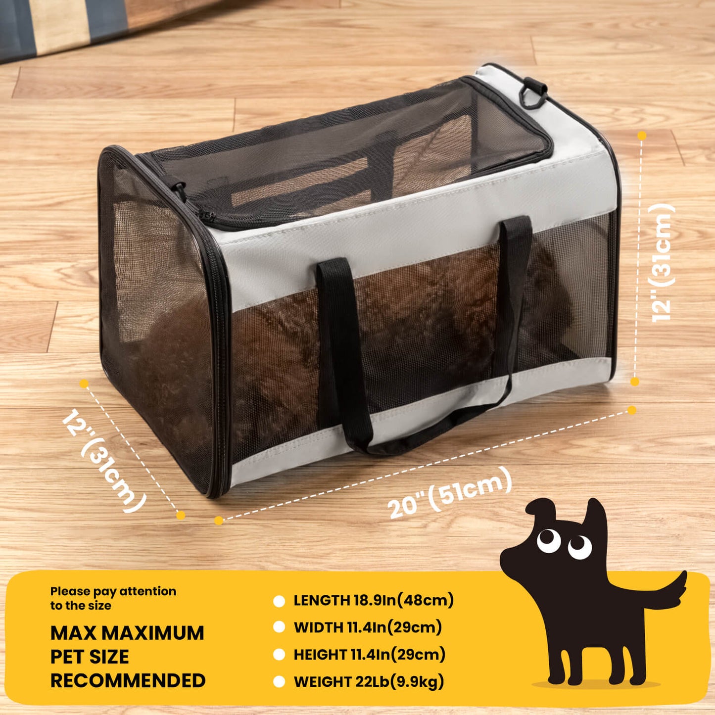 Collapsible Soft-Sided Pet Carrier – Cat & Small Dog