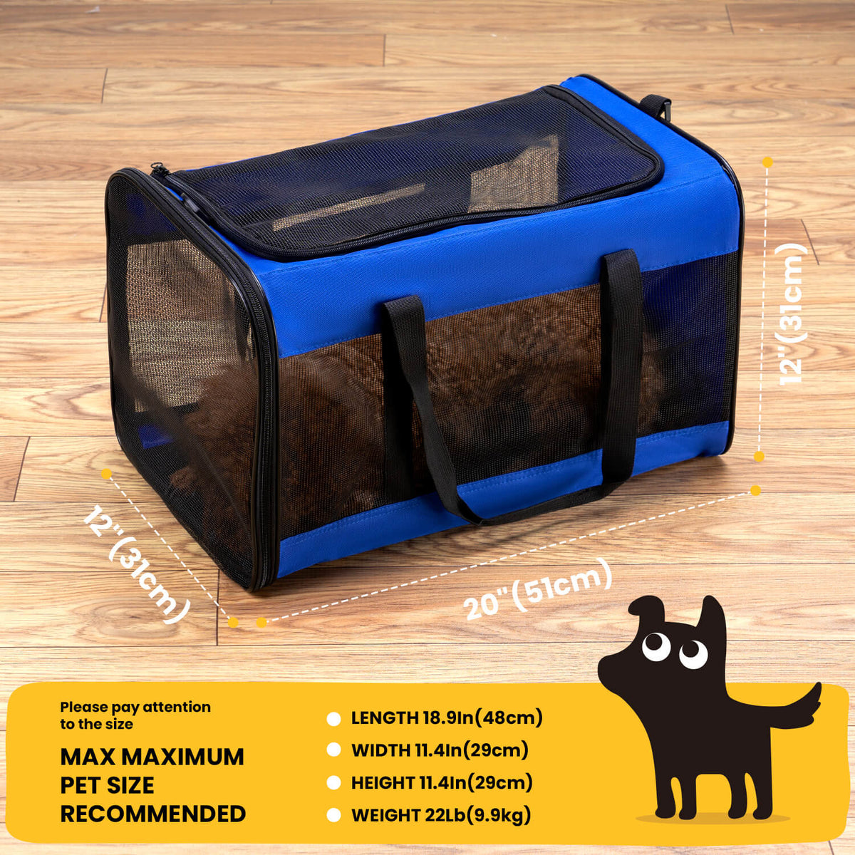 Collapsible Soft-Sided Pet Carrier – Cat & Small Dog