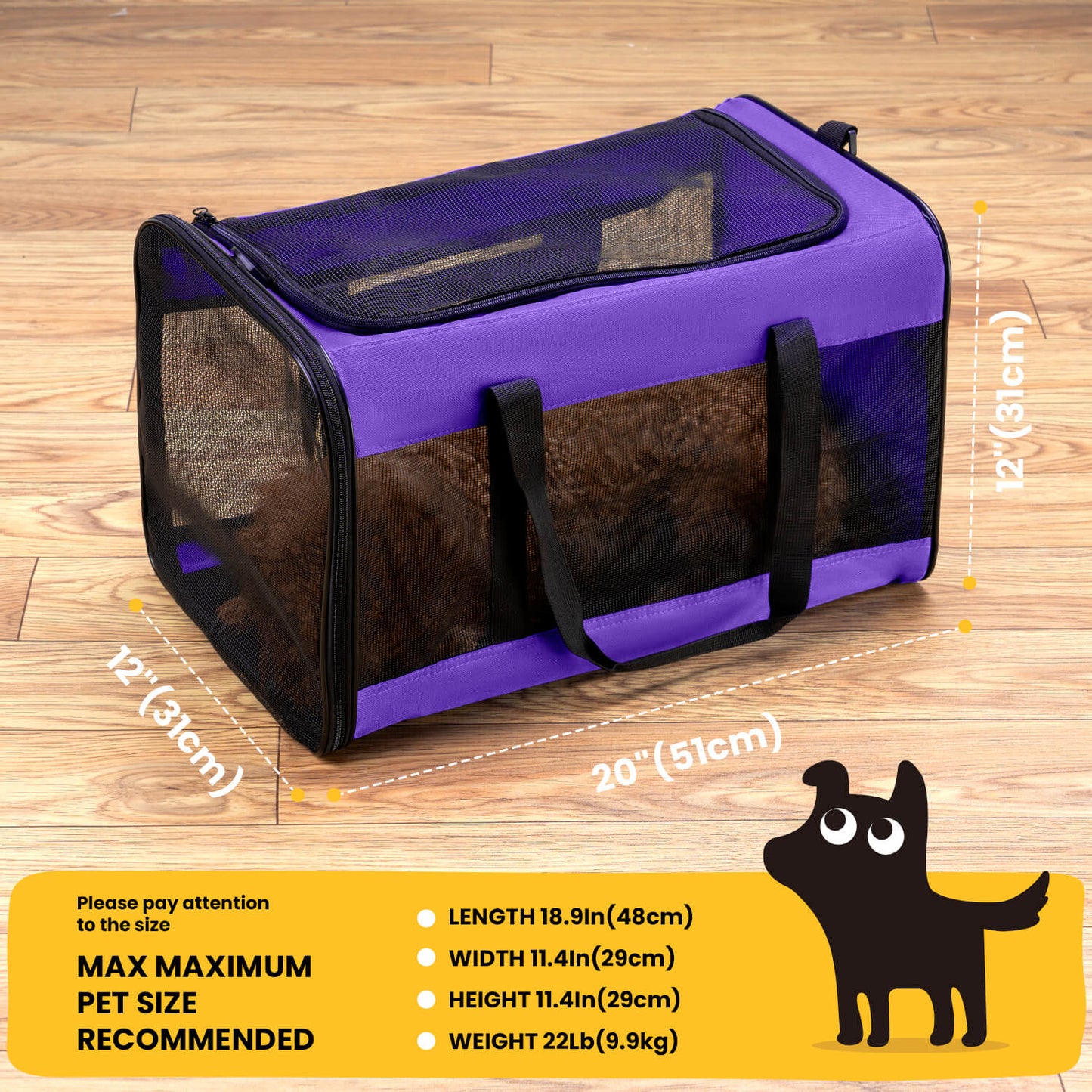 Collapsible Soft-Sided Pet Carrier – Cat & Small Dog