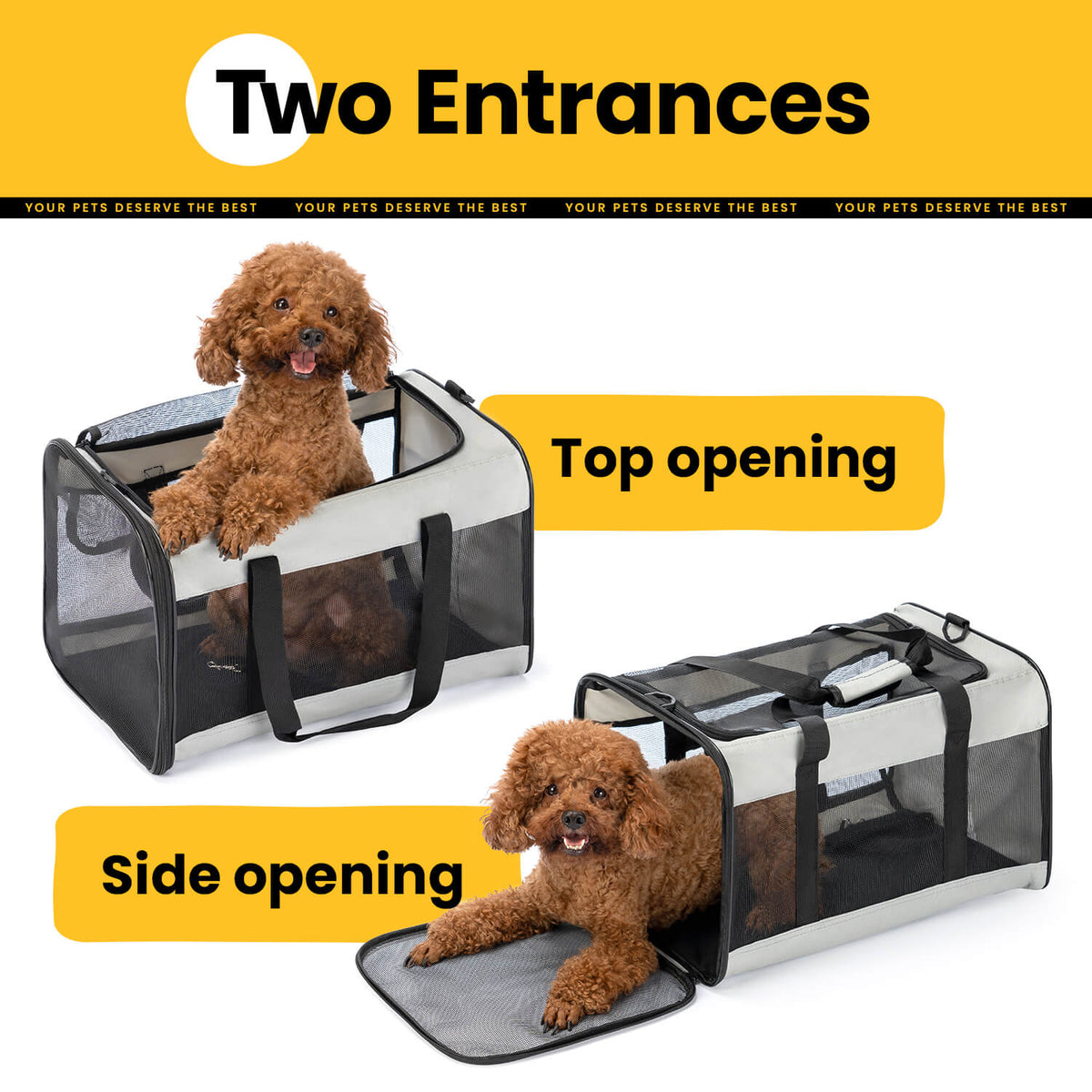 Collapsible Soft-Sided Pet Carrier – Cat & Small Dog
