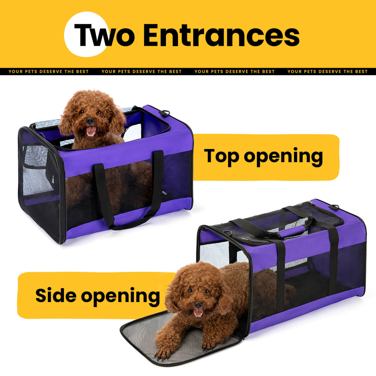 Collapsible Soft-Sided Pet Carrier – Cat & Small Dog