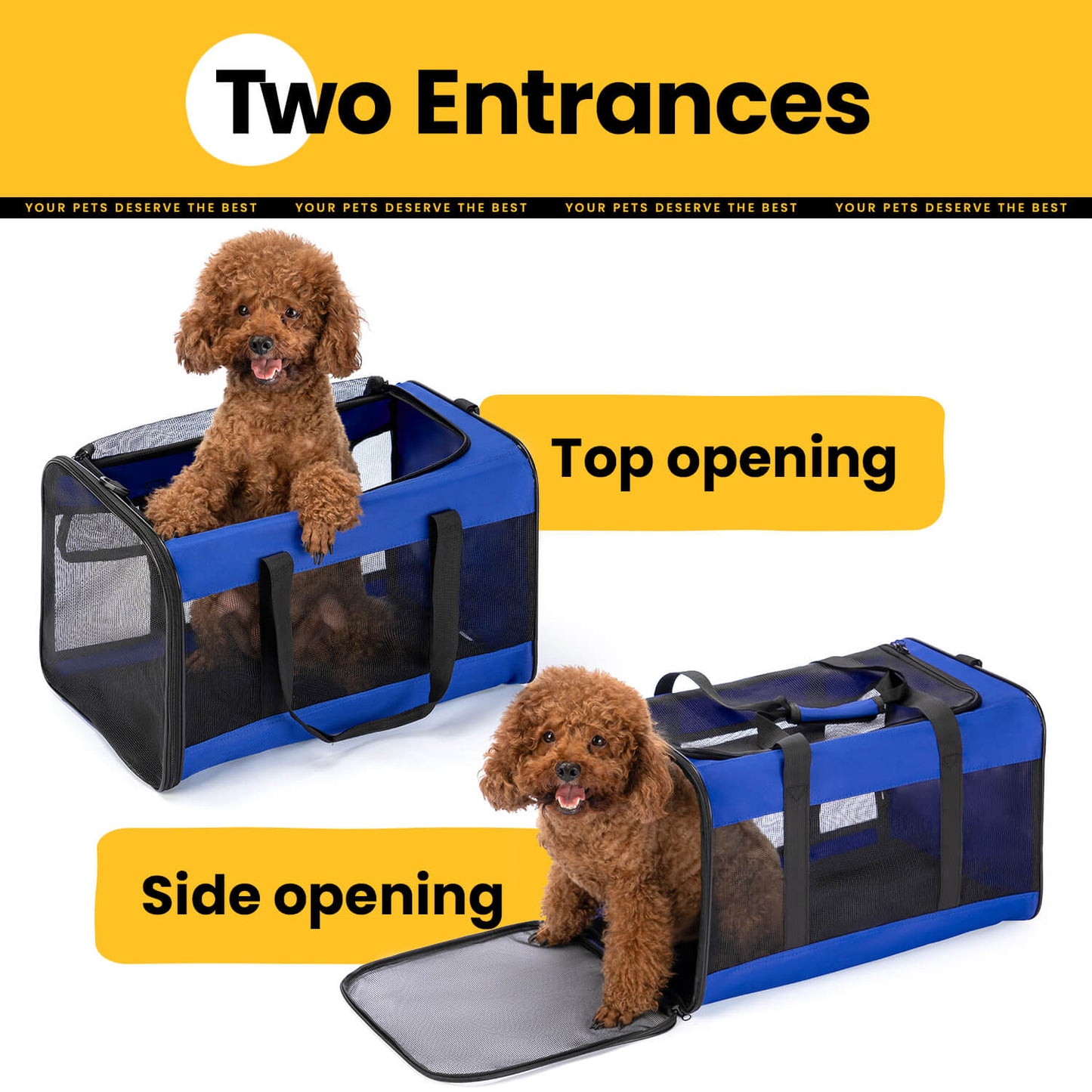 Collapsible Soft-Sided Pet Carrier – Cat & Small Dog