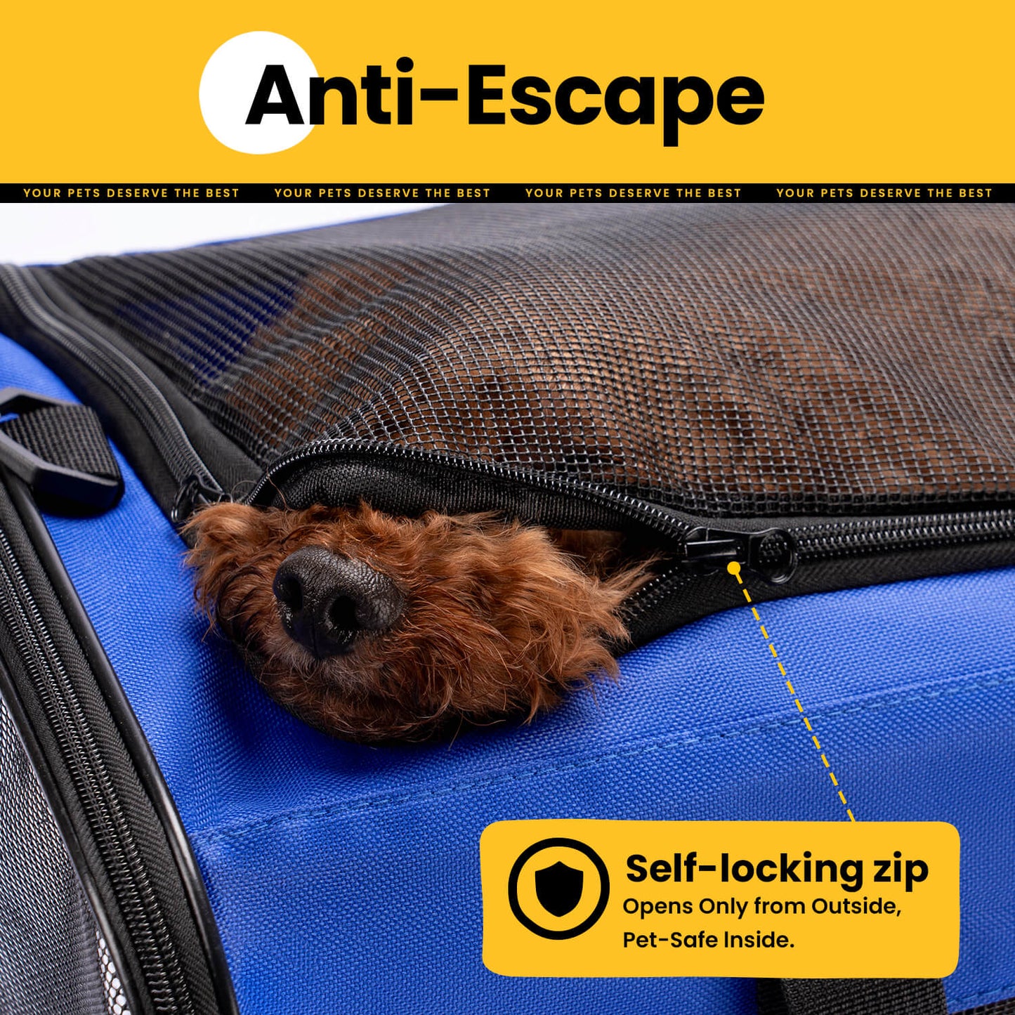 Collapsible Soft-Sided Pet Carrier – Cat & Small Dog