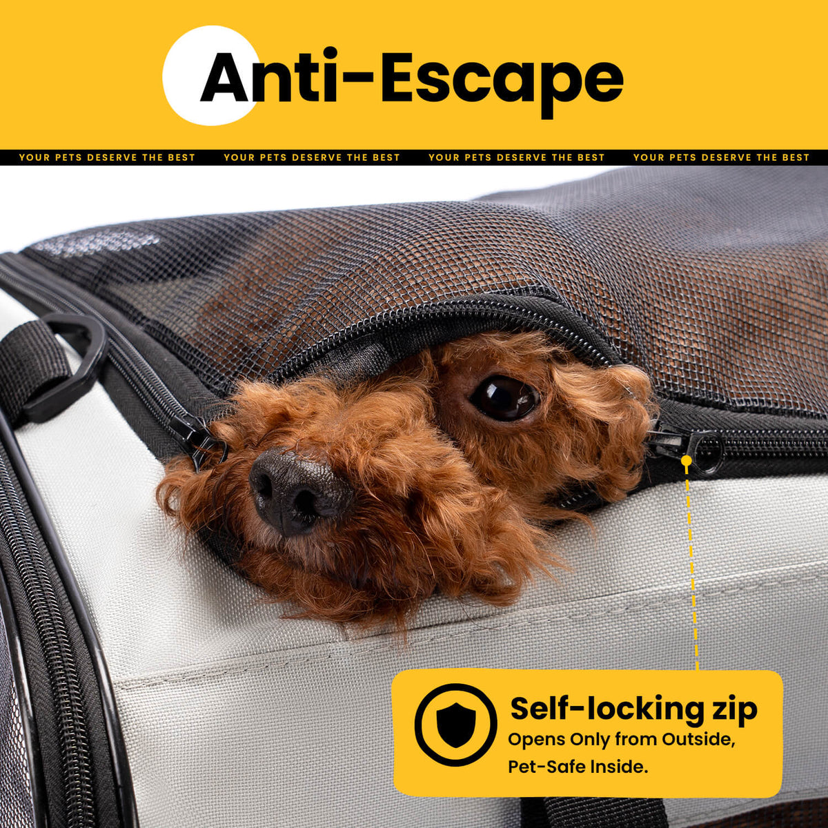 Collapsible Soft-Sided Pet Carrier – Cat & Small Dog
