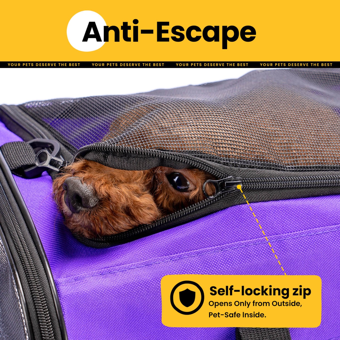 Collapsible Soft-Sided Pet Carrier – Cat & Small Dog