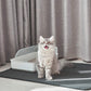 Concave Honeycomb Cat Litter Trapping Mat – Extra Large, 30" x 24"