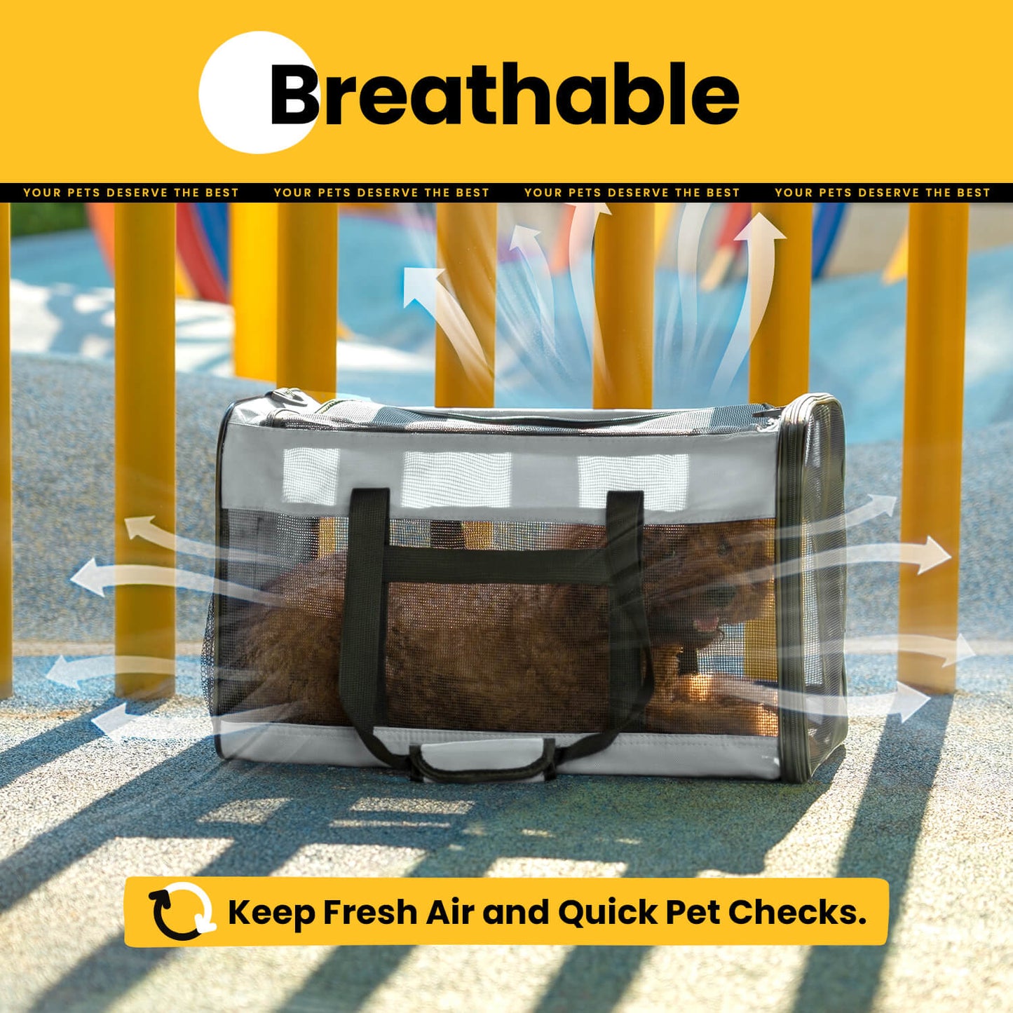 Collapsible Soft-Sided Pet Carrier – Cat & Small Dog