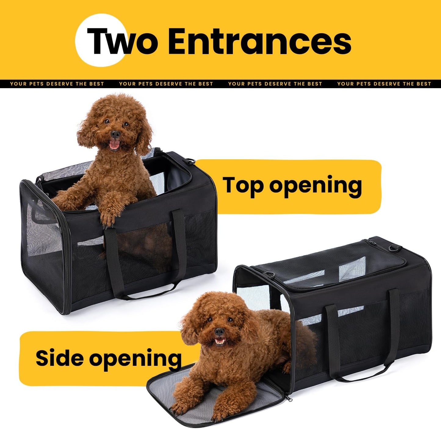 Collapsible Soft-Sided Pet Carrier – Cat & Small Dog