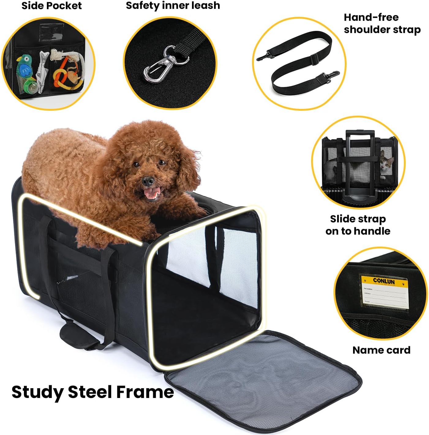 Collapsible Soft-Sided Pet Carrier – Cat & Small Dog