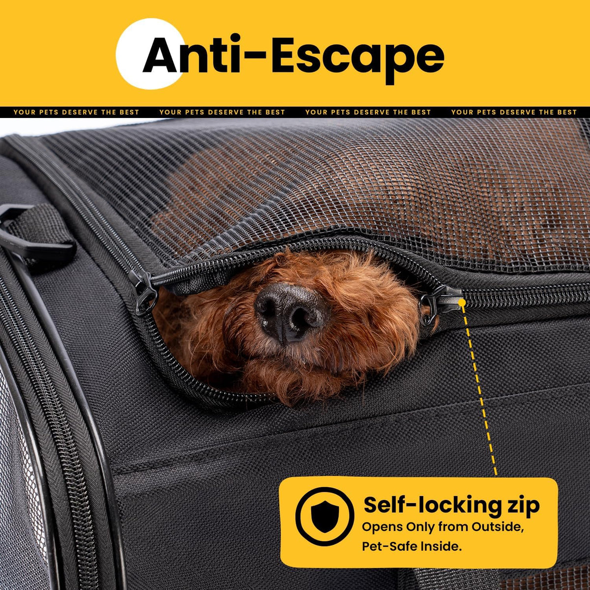 Collapsible Soft-Sided Pet Carrier – Cat & Small Dog