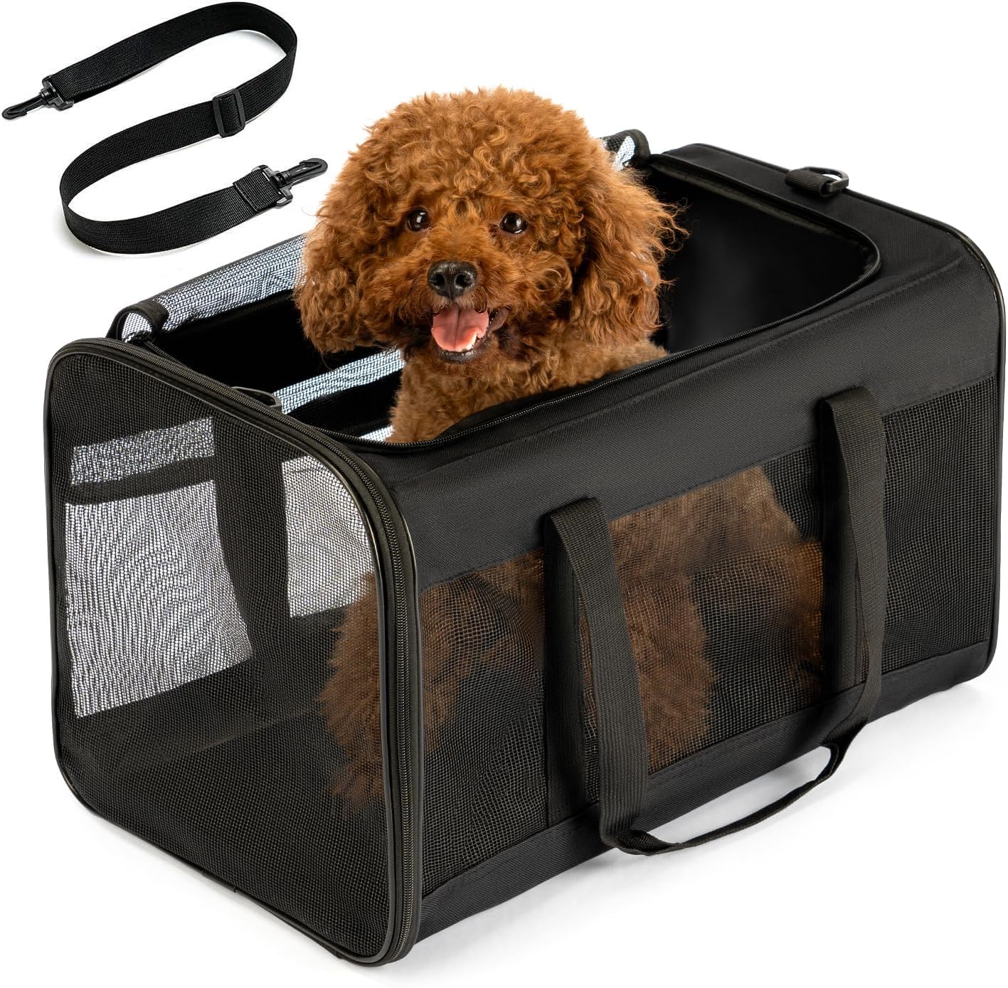 Collapsible Soft-Sided Pet Carrier – Cat & Small Dog