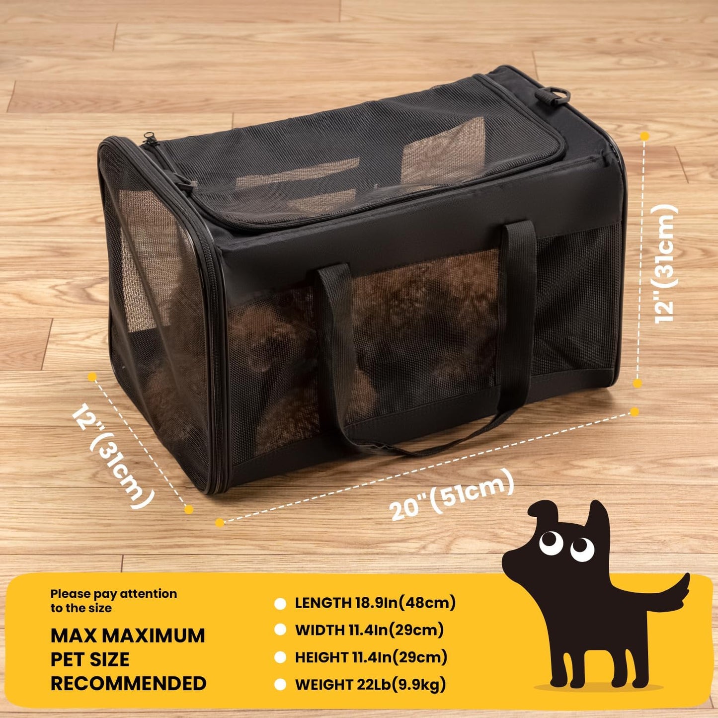 Collapsible Soft-Sided Pet Carrier – Cat & Small Dog
