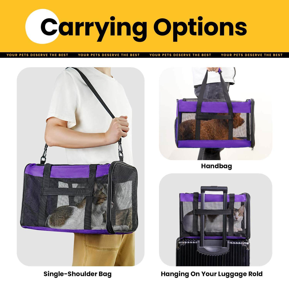 Collapsible Soft-Sided Pet Carrier – Cat & Small Dog