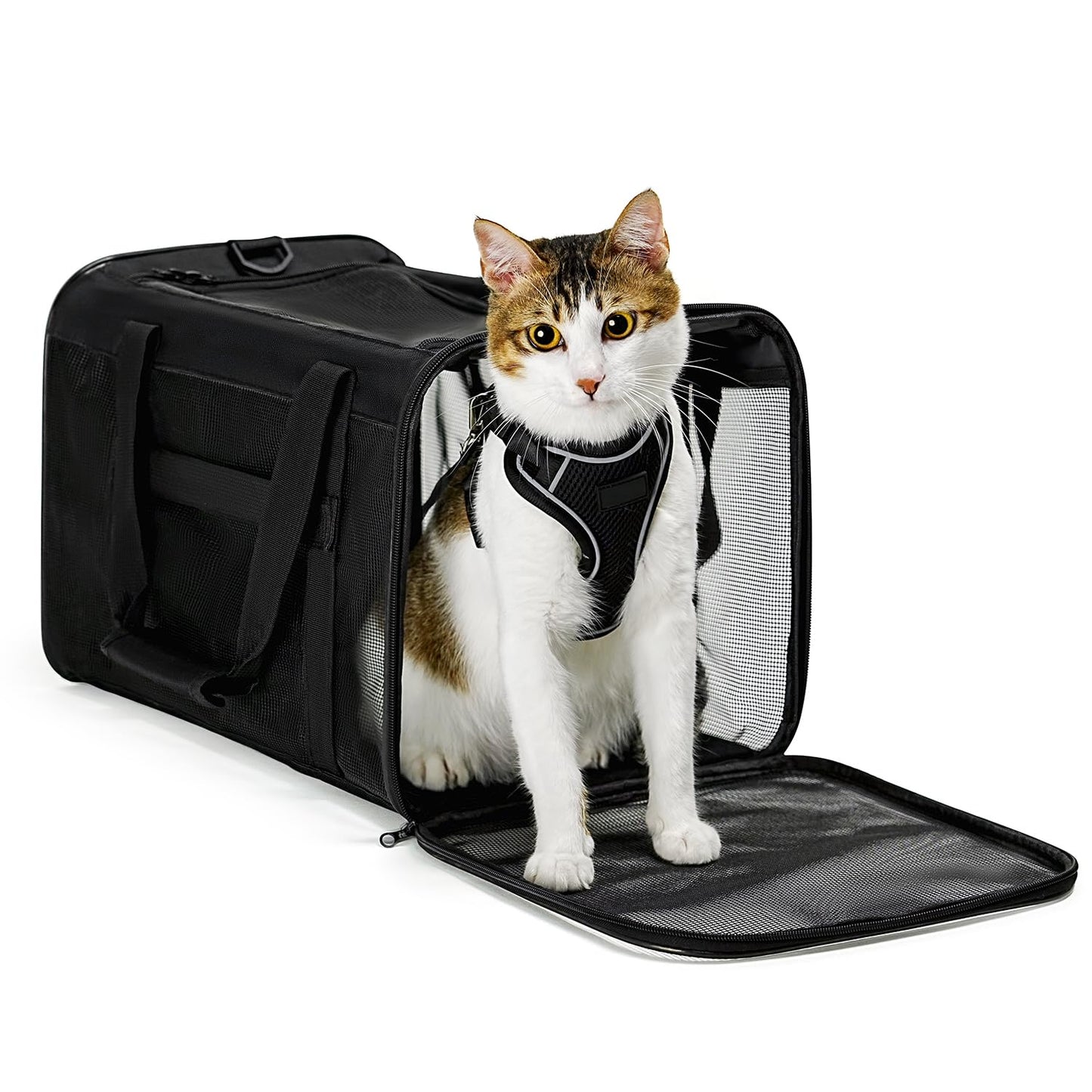 Collapsible Soft-Sided Pet Carrier – Cat & Small Dog