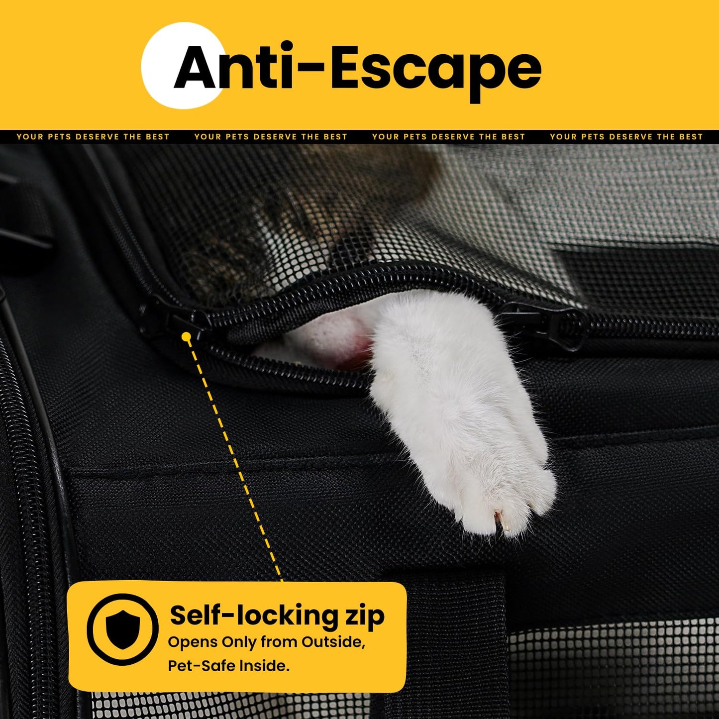 Collapsible Soft-Sided Pet Carrier – Cat & Small Dog