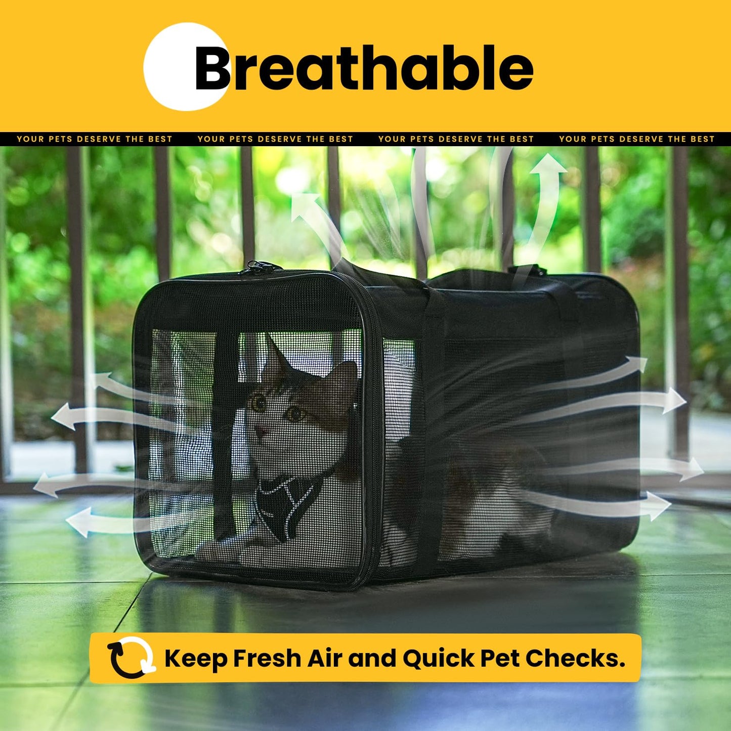 Collapsible Soft-Sided Pet Carrier – Cat & Small Dog