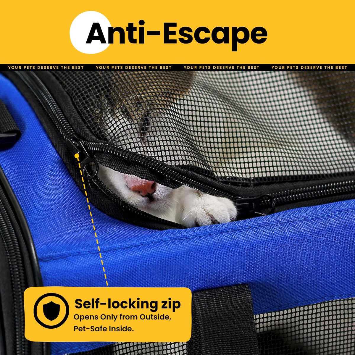 Collapsible Soft-Sided Pet Carrier – Cat & Small Dog