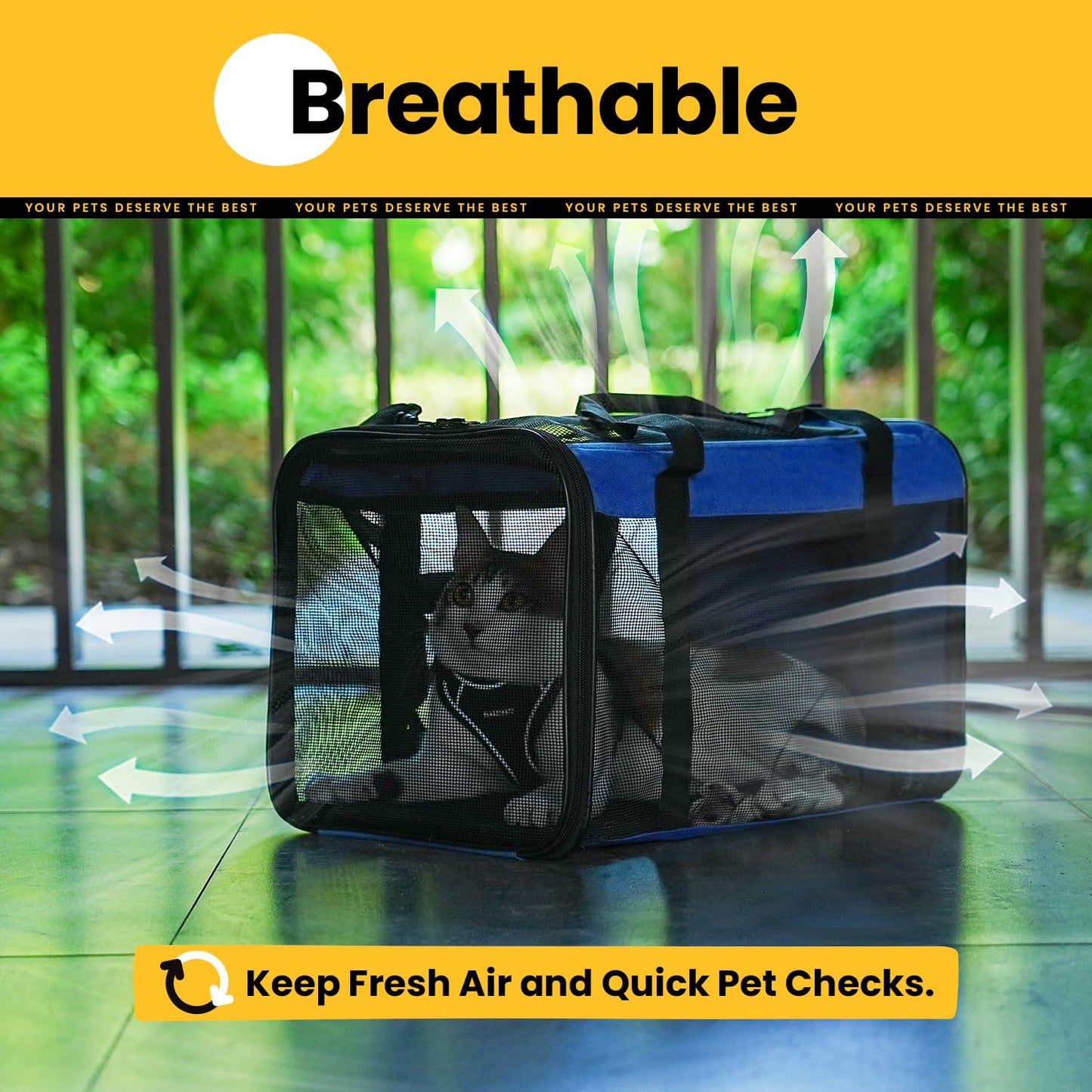 Collapsible Soft-Sided Pet Carrier – Cat & Small Dog