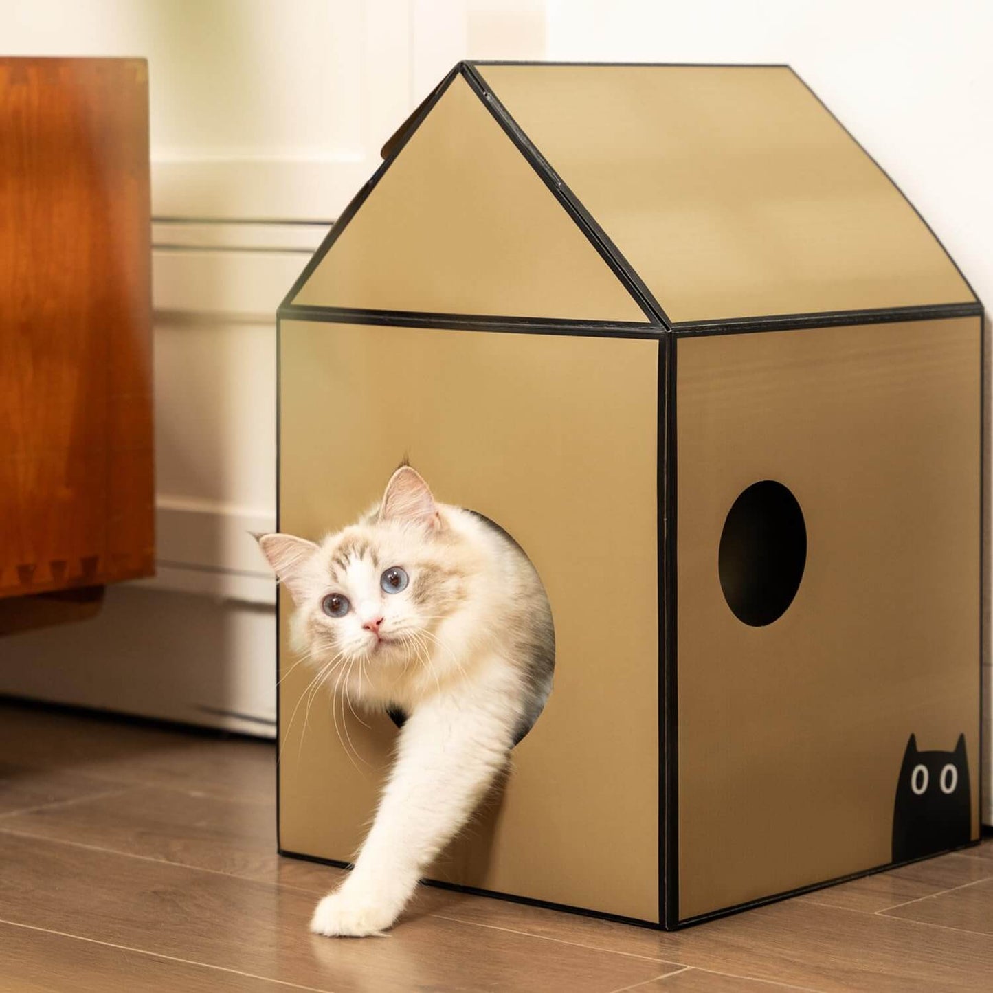 Cardboard Cat House with Scratch Pad & Catnip