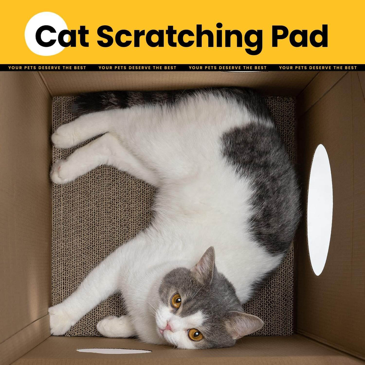 Cardboard Cat House with Scratch Pad & Catnip