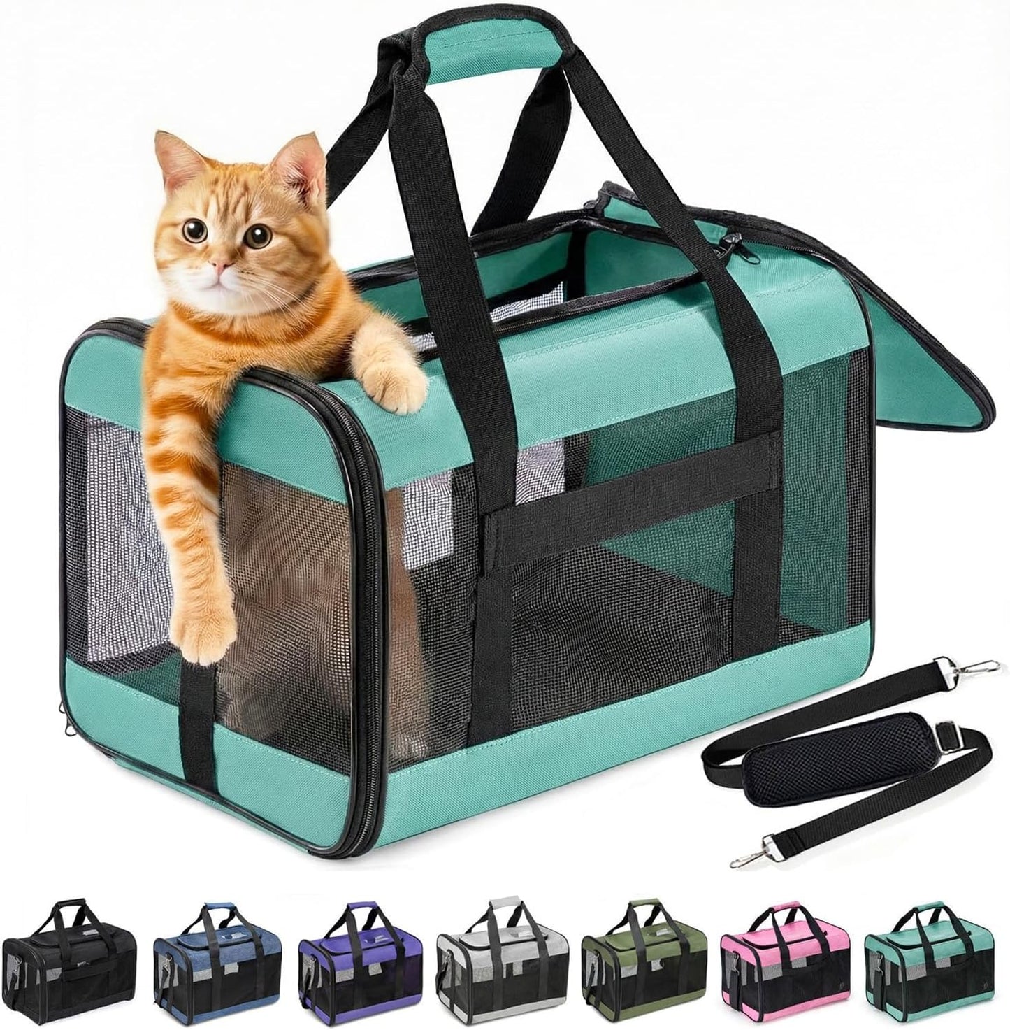 Expandable Soft-Sided Pet Carrier Bag