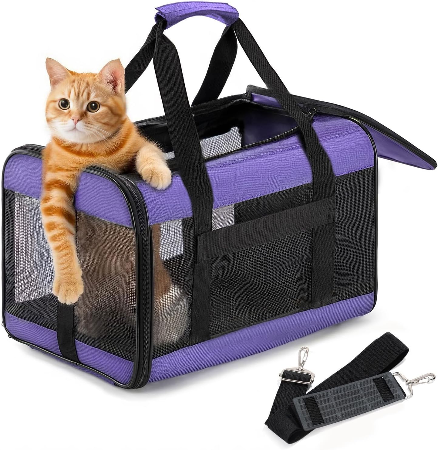 Expandable Soft-Sided Pet Carrier Bag