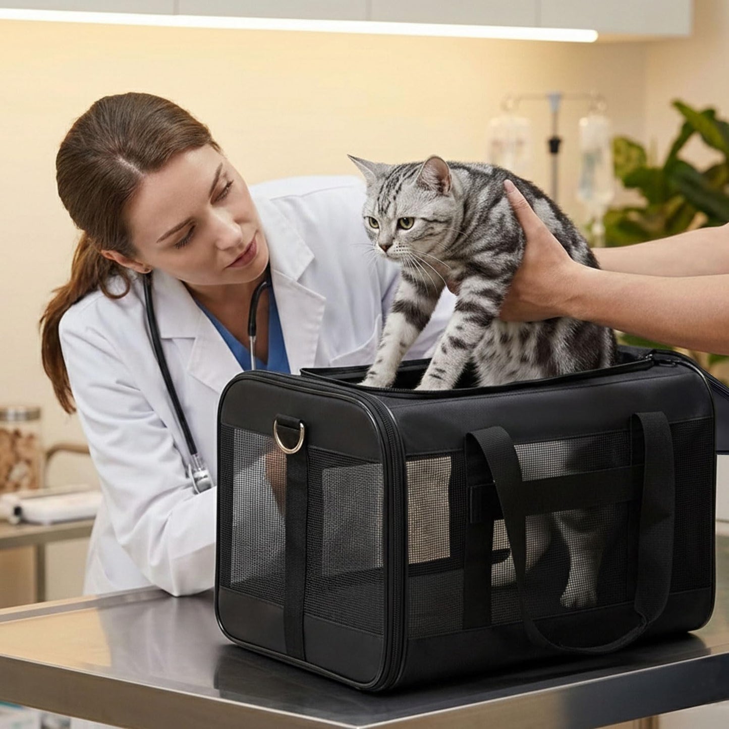 Expandable Soft-Sided Pet Carrier Bag