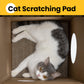 Cardboard Cat House with Scratch Pad & Catnip