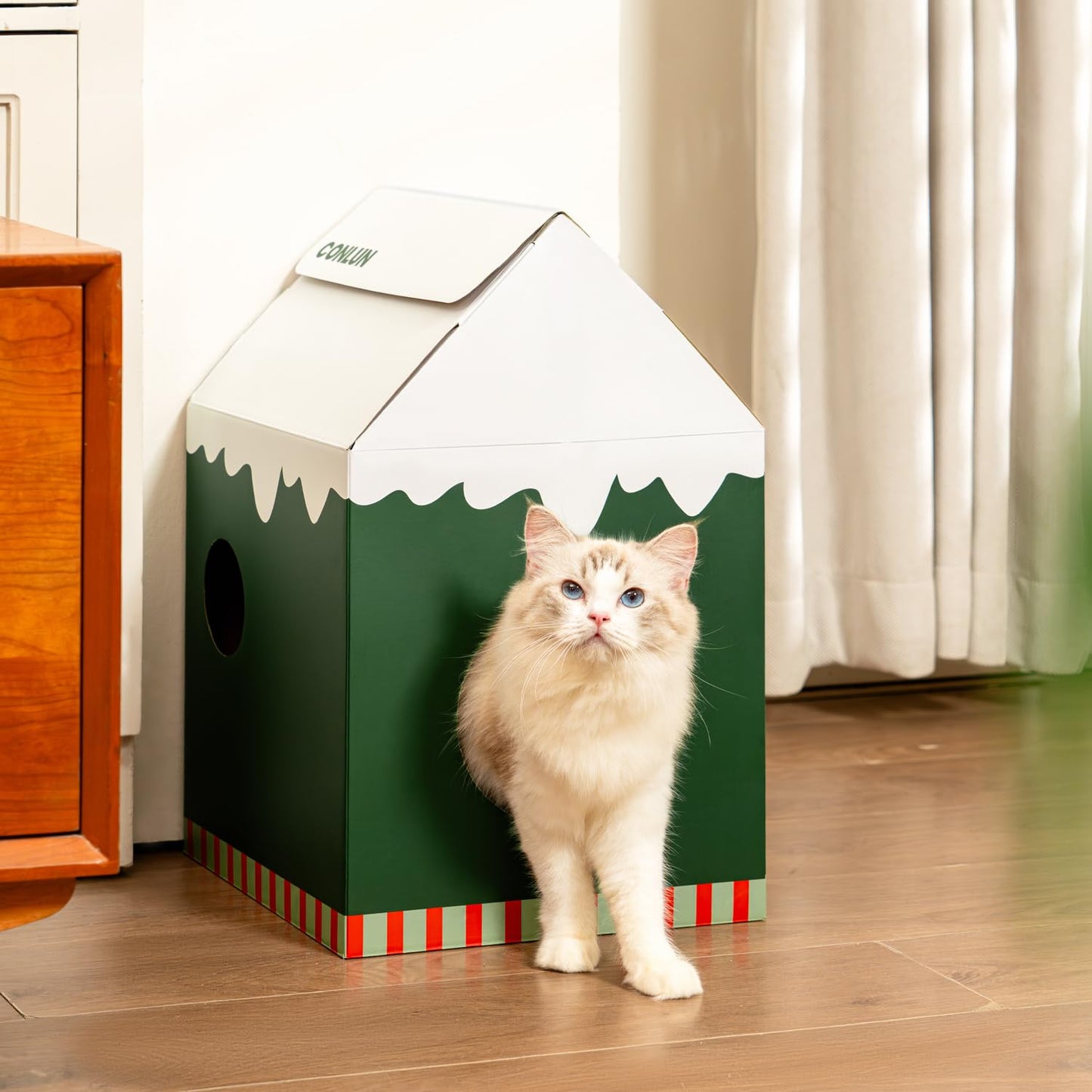Cardboard Cat House with Scratch Pad & Catnip