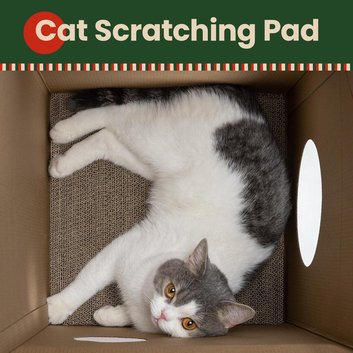 Cardboard Cat House with Scratch Pad & Catnip