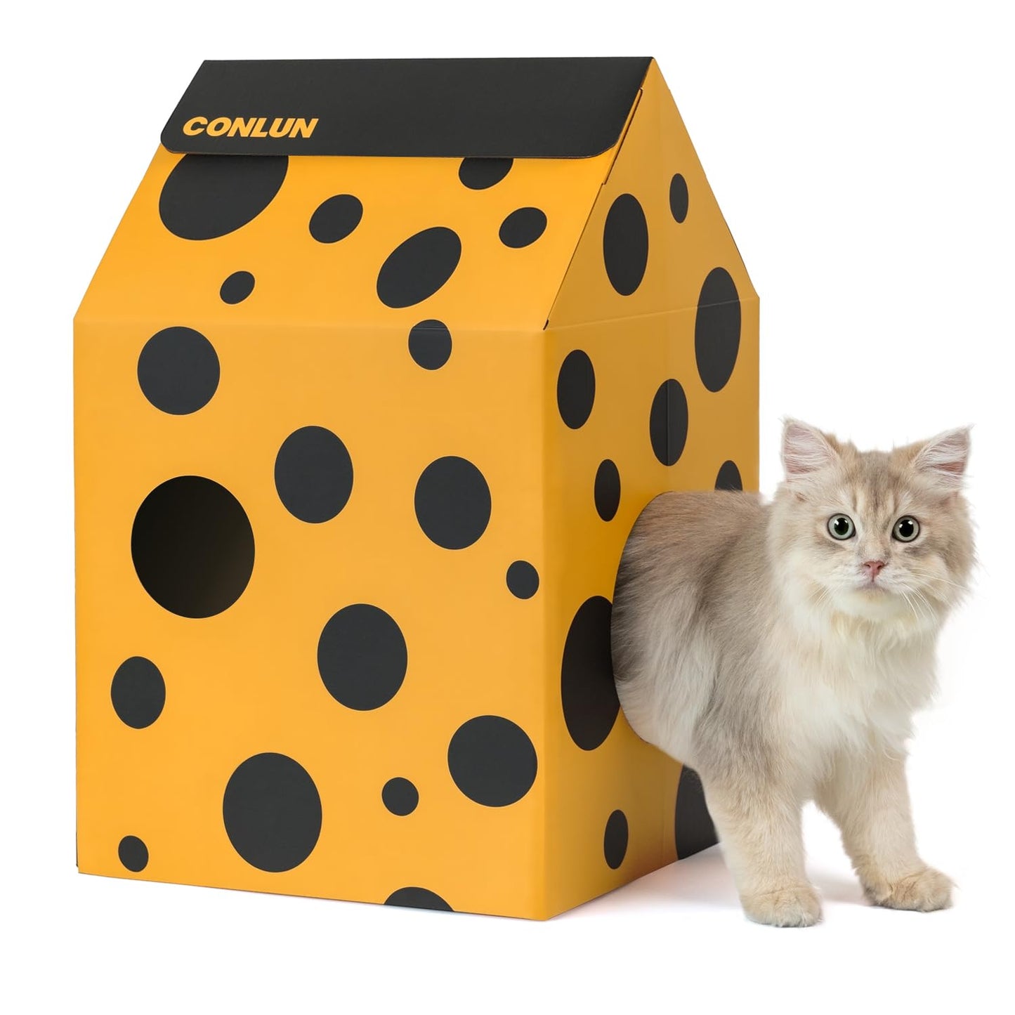 Cardboard Cat House with Scratch Pad & Catnip