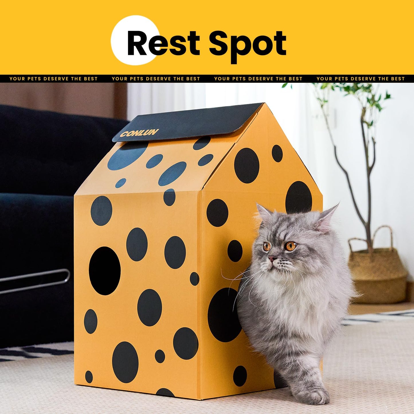 Cardboard Cat House with Scratch Pad & Catnip