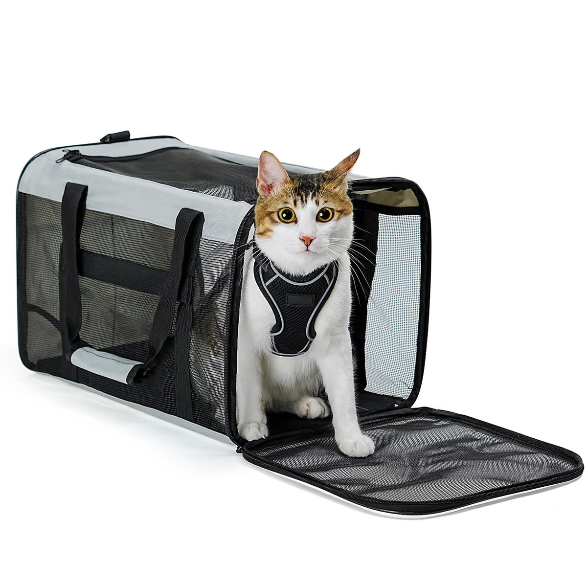 Collapsible Soft-Sided Pet Carrier – Cat & Small Dog