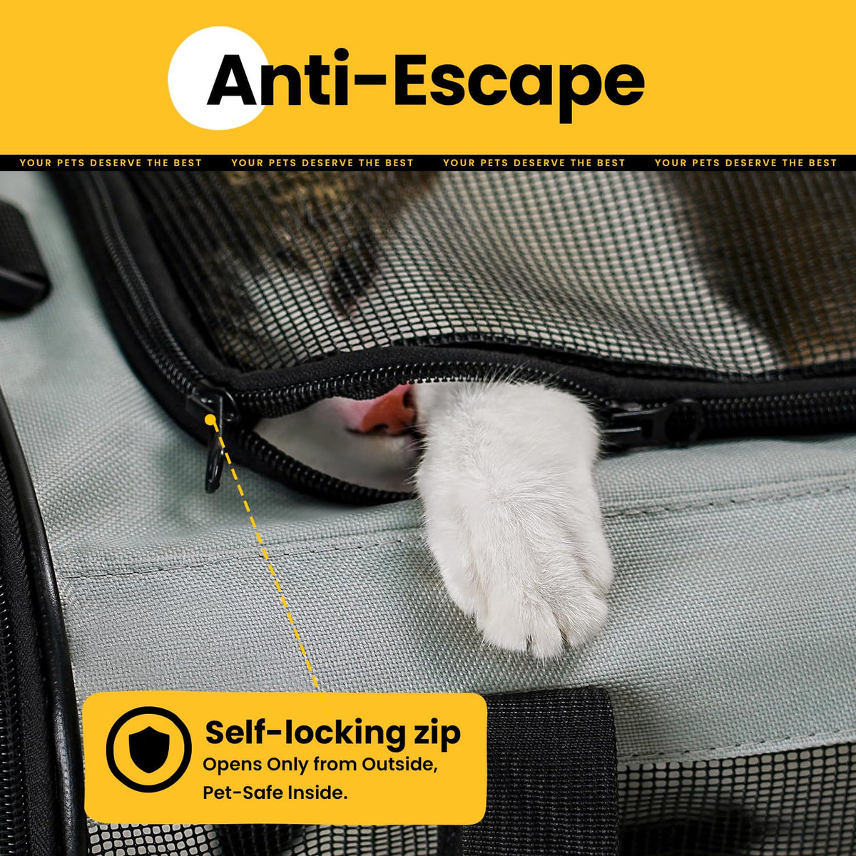 Collapsible Soft-Sided Pet Carrier – Cat & Small Dog
