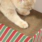 Cat Scratcher Lounge Box with Refill Pad – Candy Canes