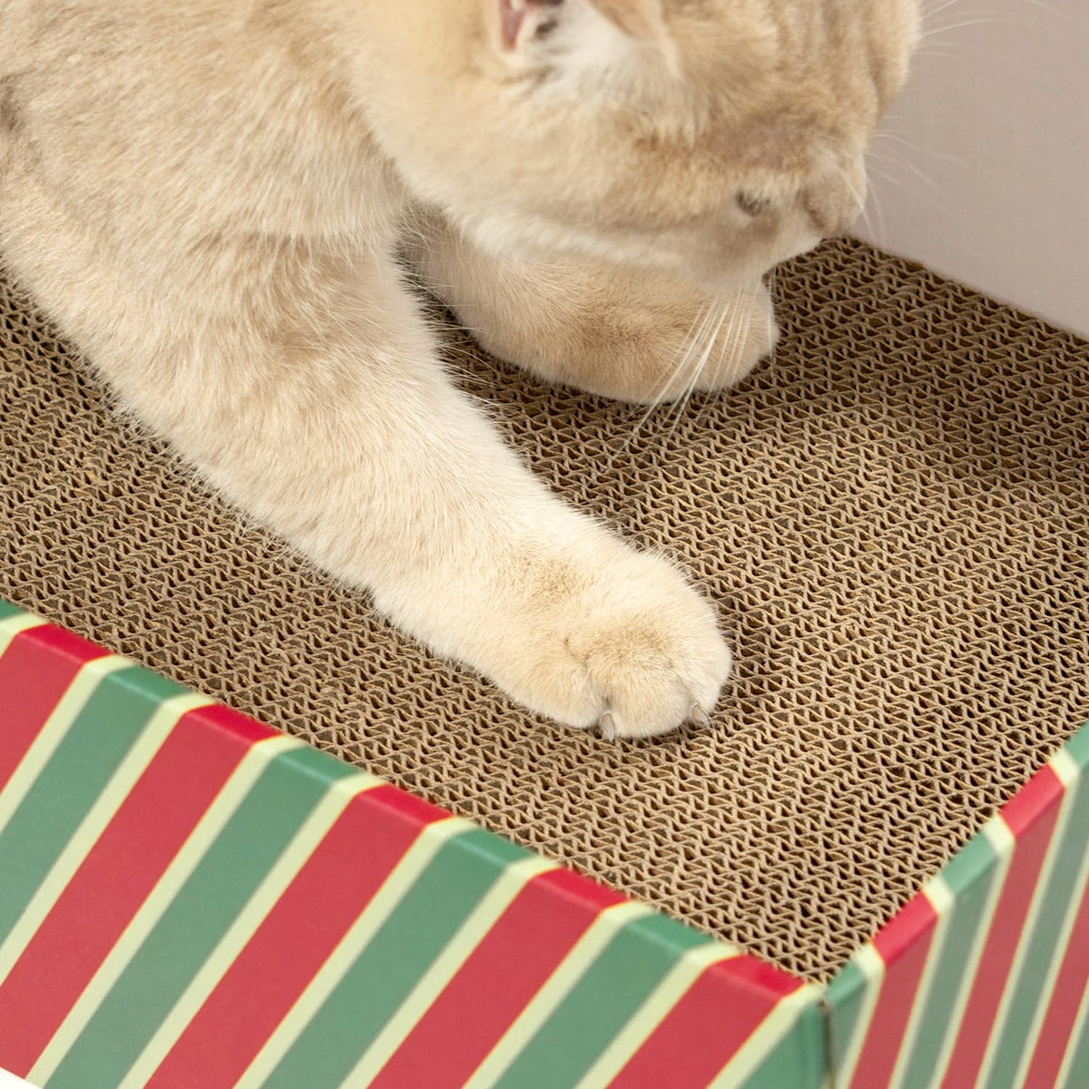 Cat Scratcher Lounge Box with Refill Pad – Candy Canes